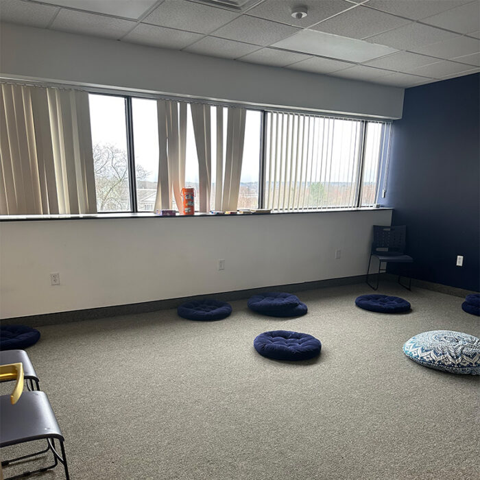 north shore mental health treatment